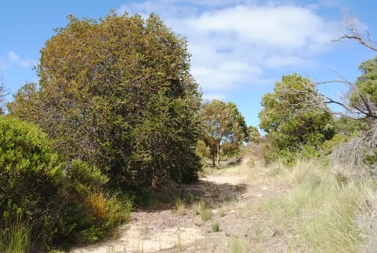 Seventh view of Homely land listing, 1518 Dolphin Sands Road, Dolphin Sands TAS 7190