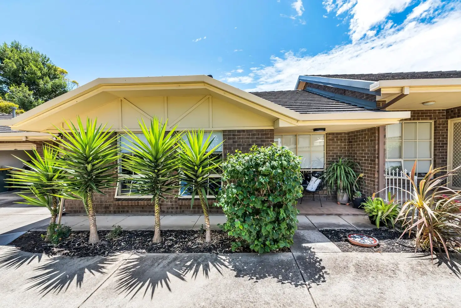 Main view of Homely unit listing, 3-8 Gilbertson Road, Seacliff Park SA 5049