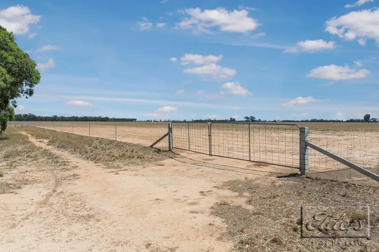 Third view of Homely rural property listing, Lots 1-5 Cnr Tandarra-Serpentine Rd & Thompsons Rd, Tandarra VIC 3571