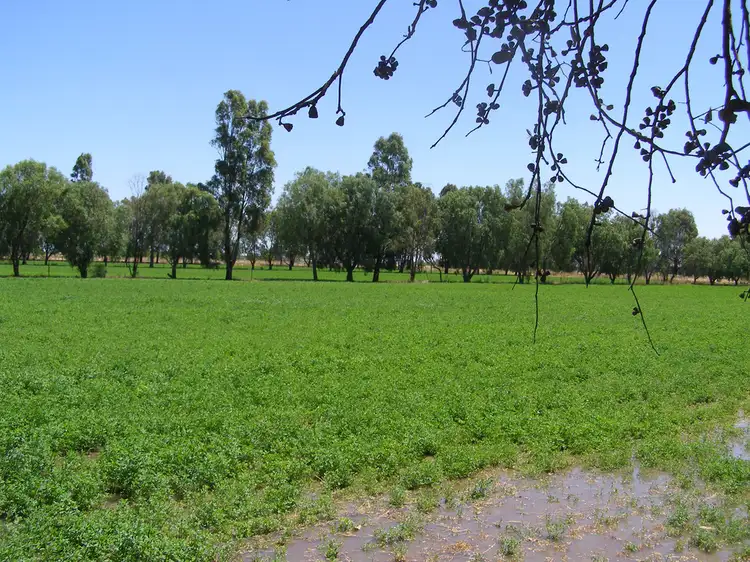 Second view of Homely rural property listing, 2090 Wilson Road, Koyuga VIC 3622