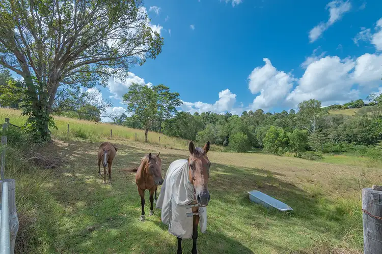 127 Jubilee Road, Carters Ridge QLD 4563