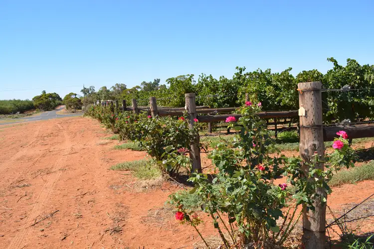Third view of Homely rural property listing, 490 Lowan Avenue, Red Cliffs VIC 3496