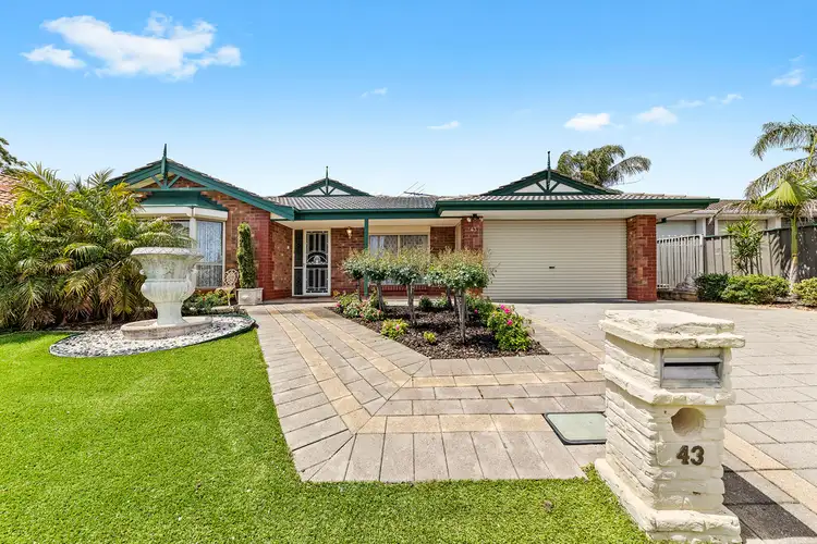 43 Hillcott Avenue, Wynn Vale SA 5127
