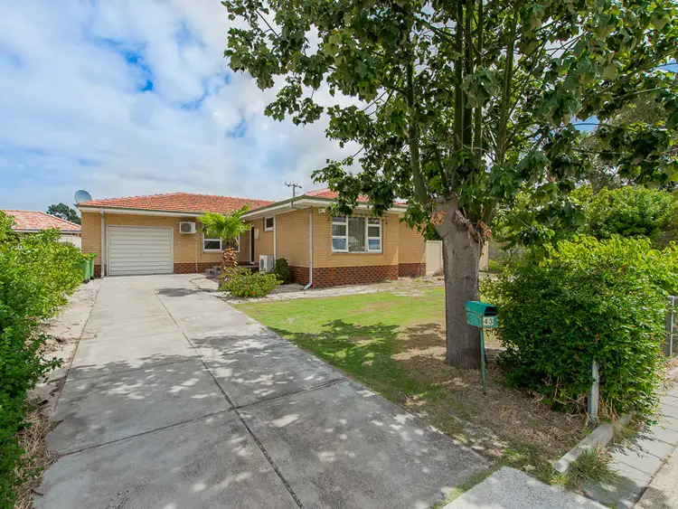 Main view of Homely house listing, 43 Ivanhoe Street, Morley WA 6062