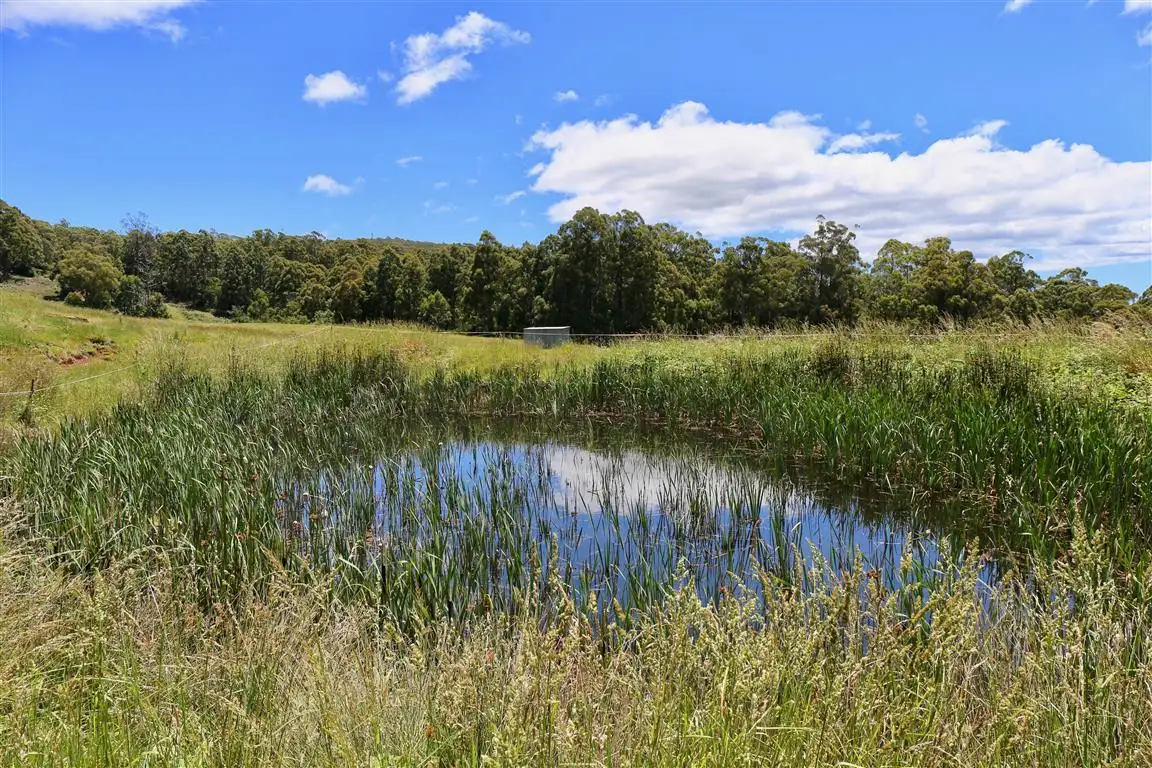 Main view of Homely rural property listing, 146 Paloona Road, Paloona TAS 7310