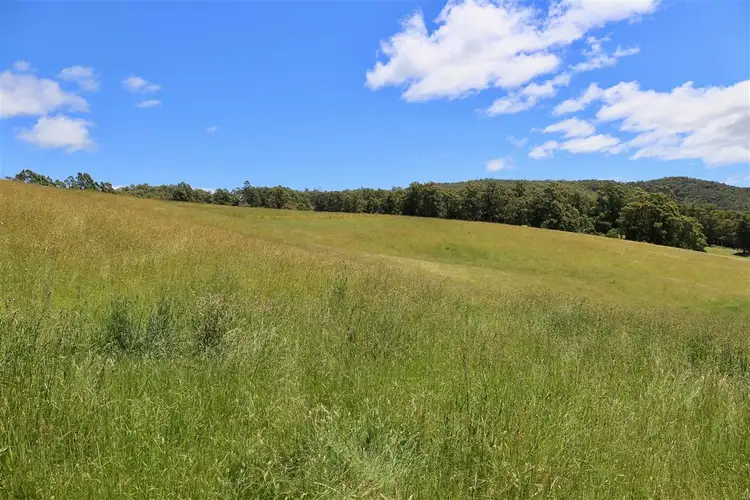 Fourth view of Homely rural property listing, 146 Paloona Road, Paloona TAS 7310