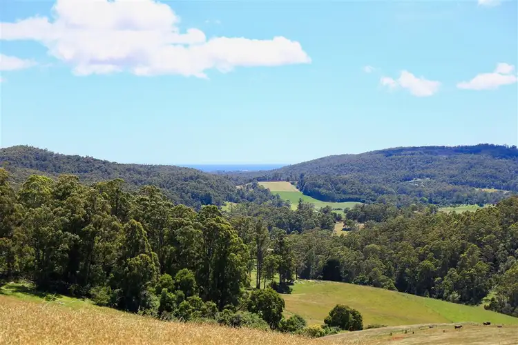 Fifth view of Homely rural property listing, 146 Paloona Road, Paloona TAS 7310