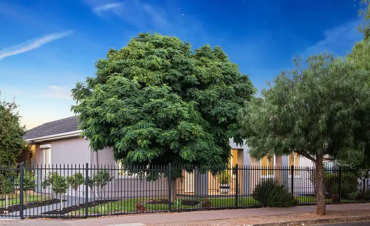 24 Gladys Street, Clarence Gardens SA 5039