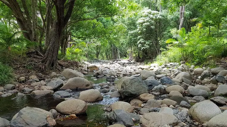 Seventh view of Homely land listing, 17 Kirk Road, Cedar Creek QLD 4520