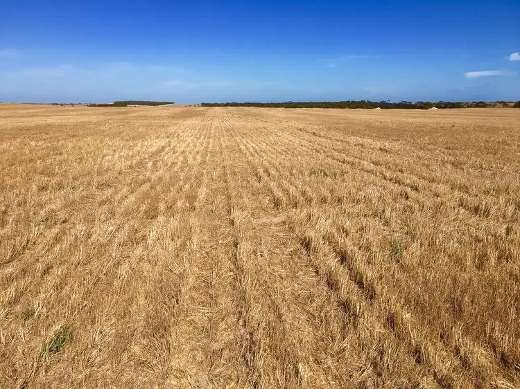 Sixth view of Homely rural property listing, Section 22 Marion Bay Road, Corny Point SA 5575