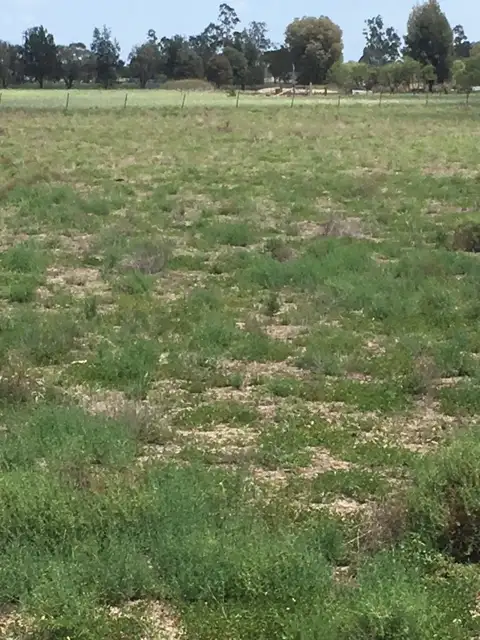 Main view of Homely land listing, 0 Cunningham Highway, Goondiwindi QLD 4390