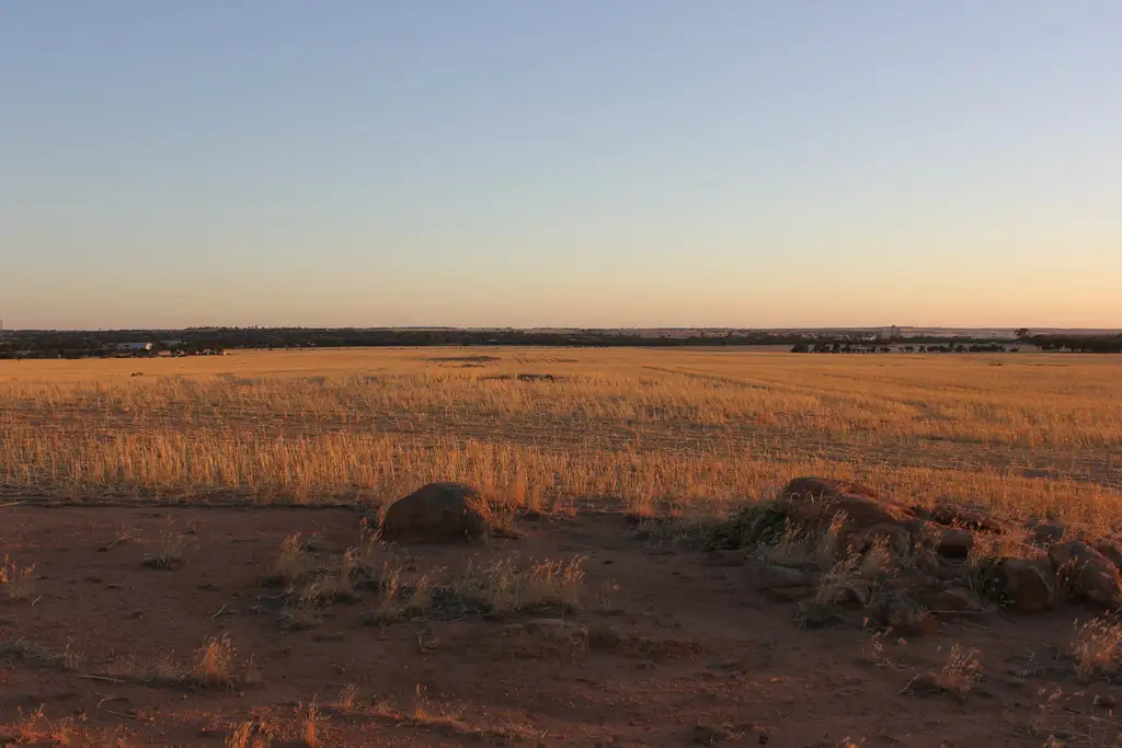 Main view of Homely rural property listing, Lot 606 Merredin-Nungarin Road, Merredin WA 6415