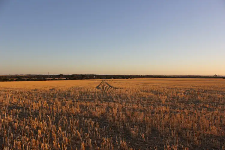Second view of Homely rural property listing, Lot 606 Merredin-Nungarin Road, Merredin WA 6415