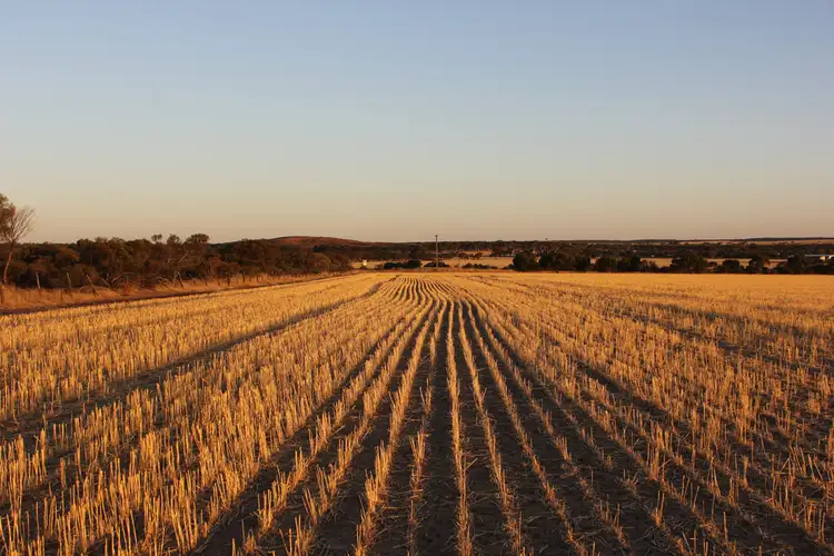 Third view of Homely rural property listing, Lot 606 Merredin-Nungarin Road, Merredin WA 6415