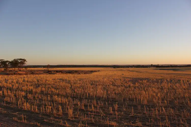 Fourth view of Homely rural property listing, Lot 606 Merredin-Nungarin Road, Merredin WA 6415