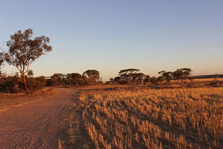 Fifth view of Homely rural property listing, Lot 606 Merredin-Nungarin Road, Merredin WA 6415