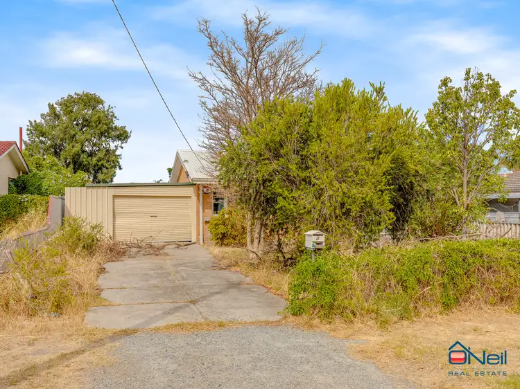 Fifth view of Homely house listing, 11 Drayton Court, Kelmscott WA 6111