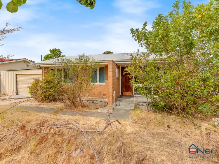Sixth view of Homely house listing, 11 Drayton Court, Kelmscott WA 6111
