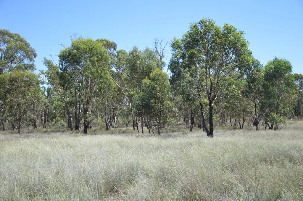 Main view of Homely rural property listing, 470 Yarrawonga Road, Mudgee NSW 2850