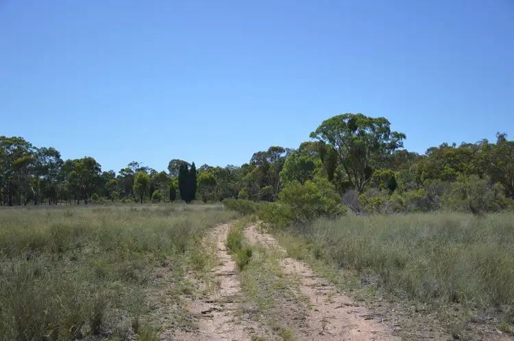 Second view of Homely rural property listing, 470 Yarrawonga Road, Mudgee NSW 2850