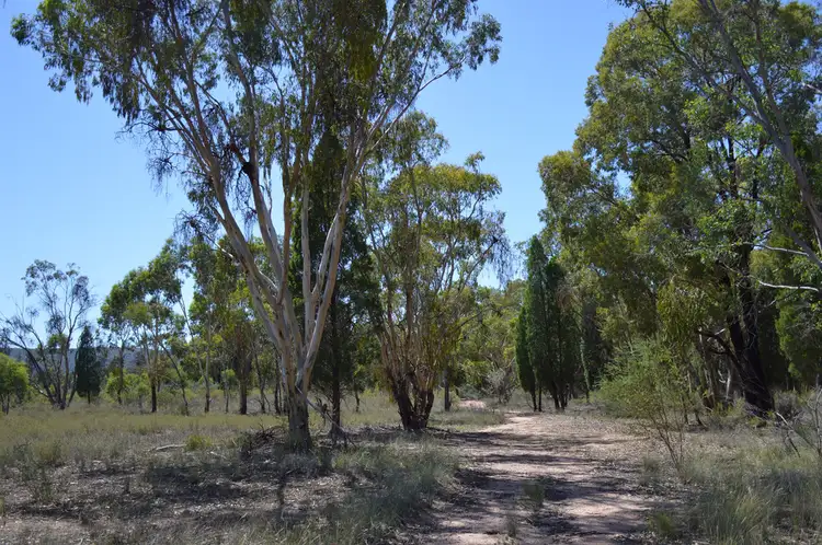 Fourth view of Homely rural property listing, 470 Yarrawonga Road, Mudgee NSW 2850