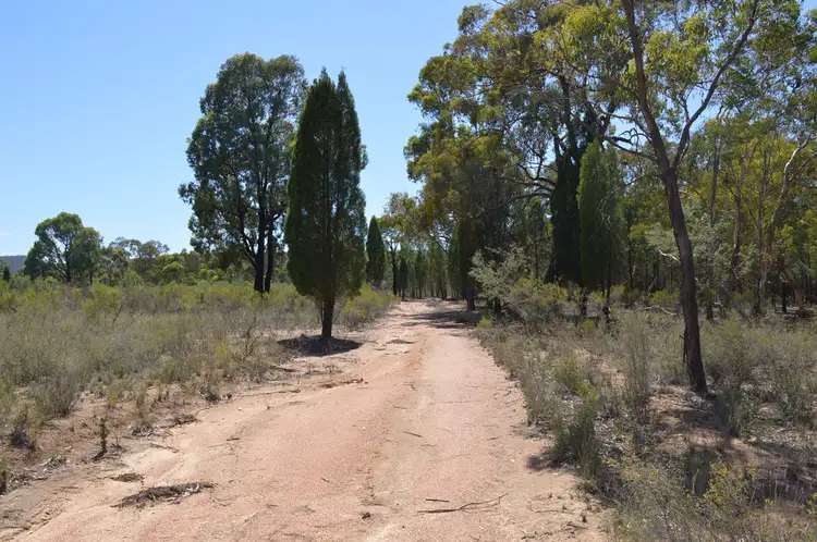 Fifth view of Homely rural property listing, 470 Yarrawonga Road, Mudgee NSW 2850