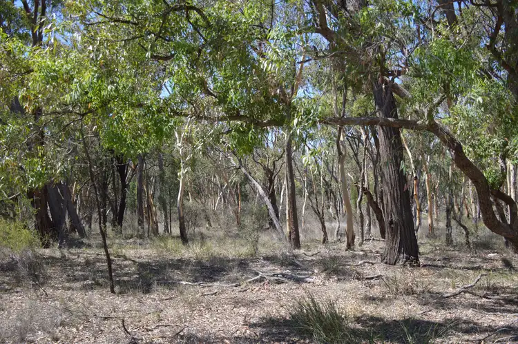 Sixth view of Homely rural property listing, 470 Yarrawonga Road, Mudgee NSW 2850