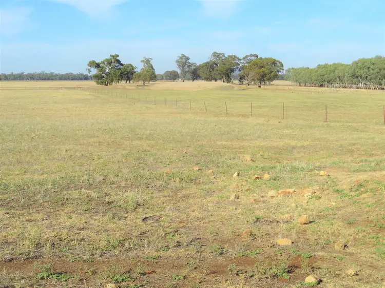 Third view of Homely rural property listing, 7 Fowlers Road, Walbundrie NSW 2642