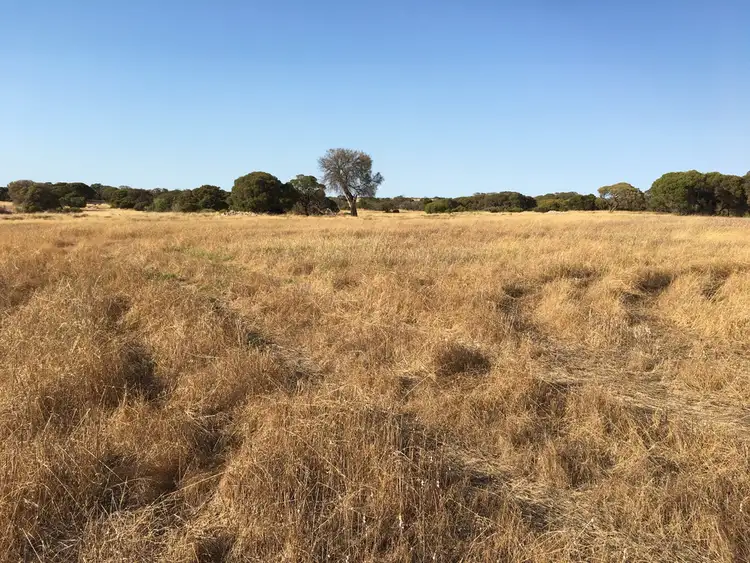 Seventh view of Homely rural property listing, 22/747 Gleesons Road, Corny Point SA 5575