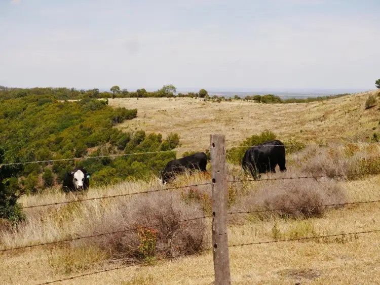 Sixth view of Homely rural property listing, 105 ACRES, GRAZING PARADISE,, Bell QLD 4408