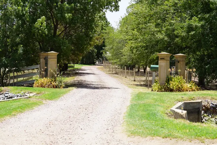 Fifth view of Homely rural property listing, 326 Irrigation Way, Leeton NSW 2705