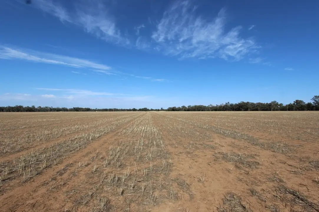 Main view of Homely rural property listing, Part 870 Traegers Road, Temora NSW 2666