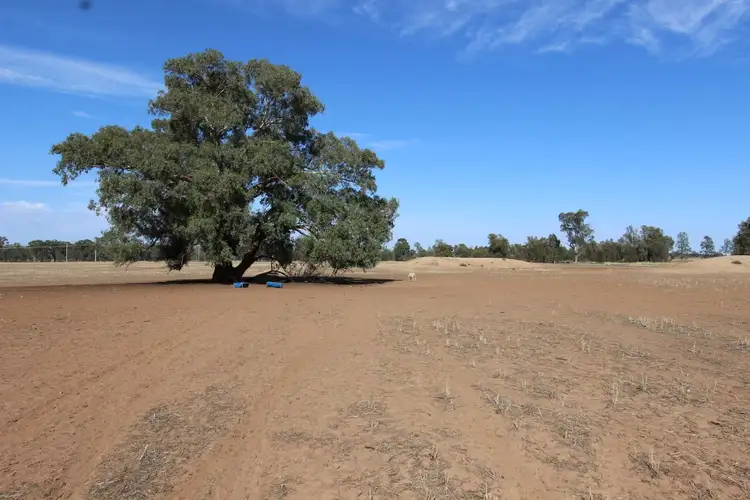 Second view of Homely rural property listing, Part 870 Traegers Road, Temora NSW 2666