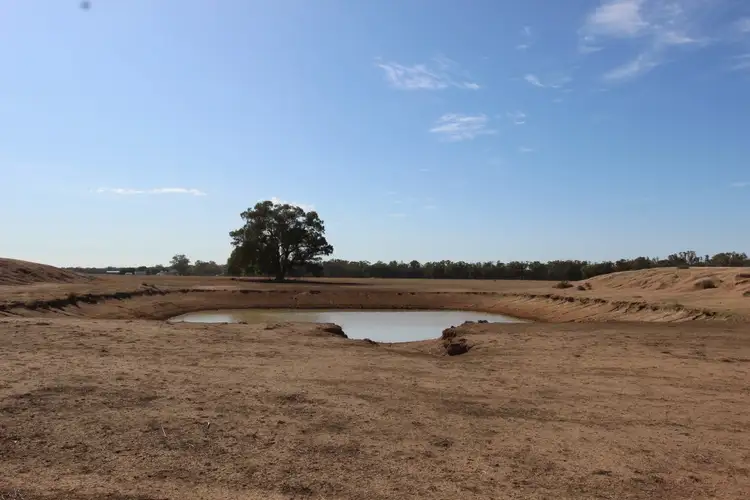 Fourth view of Homely rural property listing, Part 870 Traegers Road, Temora NSW 2666
