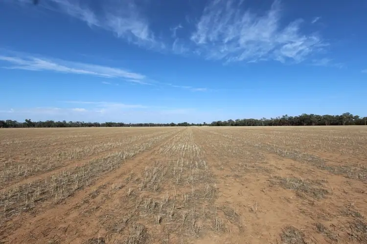 Fifth view of Homely rural property listing, Part 870 Traegers Road, Temora NSW 2666