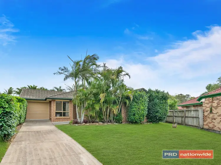 Main view of Homely house listing, 6 River Oak Place, Loganholme QLD 4129