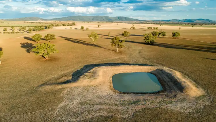 Sixth view of Homely rural property listing, 237 Hicks Lane, Cootamundra NSW 2590