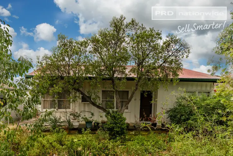 12 Nilma Avenue, Mount Austin NSW 2650
