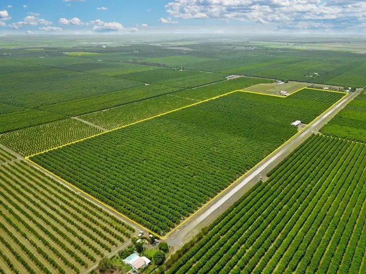 Main view of Homely rural property listing, Address upon request, Welcome Creek QLD 4670