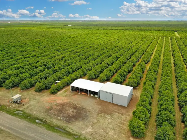 Second view of Homely rural property listing, Address upon request, Welcome Creek QLD 4670