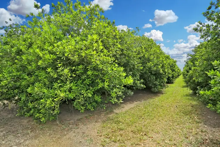 Seventh view of Homely rural property listing, Address upon request, Welcome Creek QLD 4670
