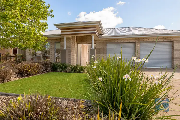 Main view of Homely house listing, 91 Hanson Street, Freeling SA 5372