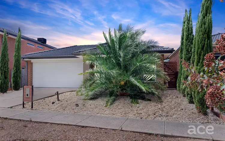 Third view of Homely house listing, 8 Daisybush Drive, Point Cook VIC 3030