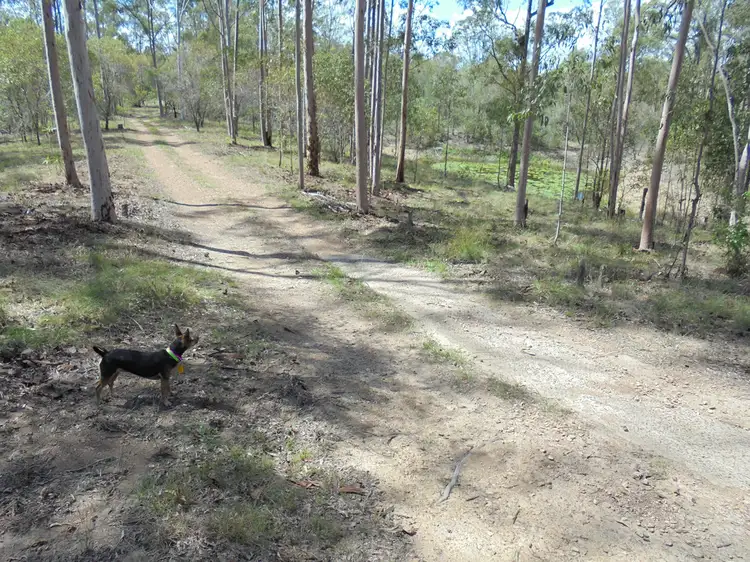 Second view of Homely rural property listing, 176 Bishops Rd, Gin Gin QLD 4671