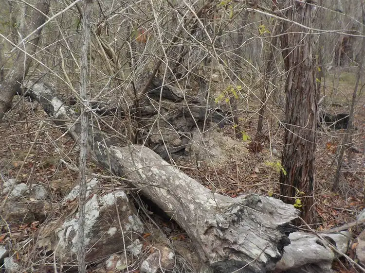 Seventh view of Homely land listing, L6 Bootmaker Drive, Round Hill QLD 4677