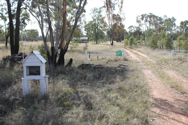 Main view of Homely rural property listing, 1330 Tambar Springs Rd, Premer NSW 2381