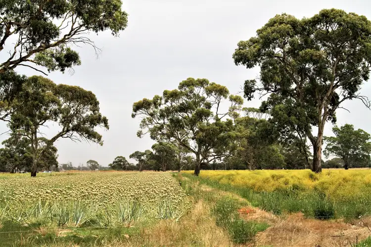 19 Hills Road, Padthaway SA 5271