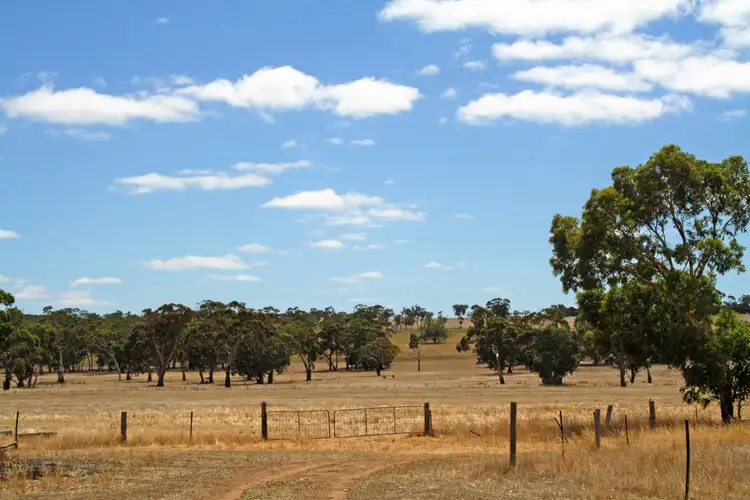 Sixth view of Homely rural property listing, 19 Hills Road, Padthaway SA 5271