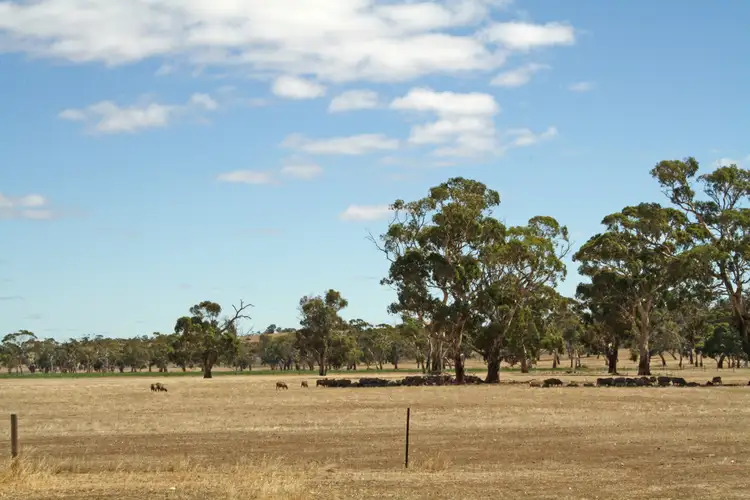 Seventh view of Homely rural property listing, 19 Hills Road, Padthaway SA 5271