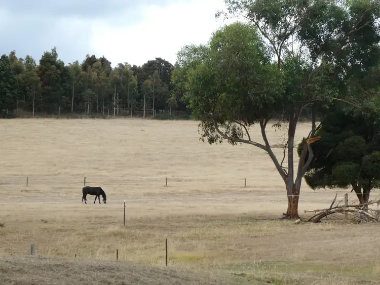 Seventh view of Homely rural property listing, 19 Faheys Road, Gordon VIC 3345
